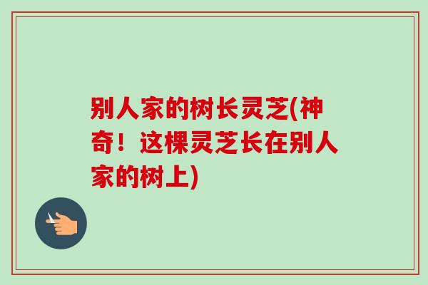别人家的树长灵芝(神奇!这棵灵芝长在别人家的树上) 别人家的树长灵芝(神奇!这棵灵芝长在别人家的树上)