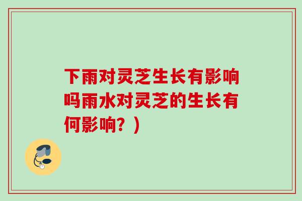 下雨对灵芝生长有影响吗雨水对灵芝的生长有何影响?) 下雨对灵芝生长有影响吗雨水对灵芝的生长有何影响?)