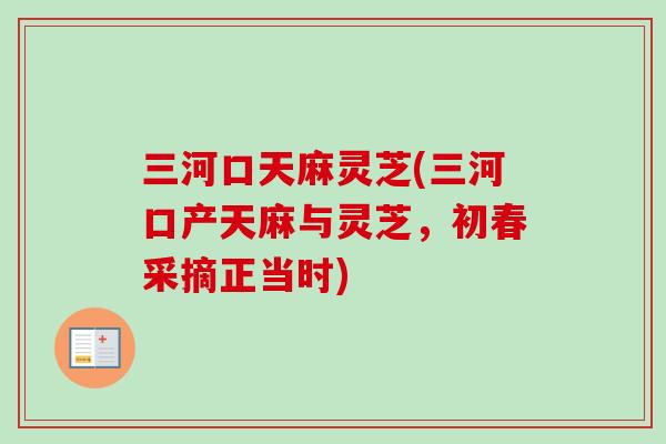 三河口天麻灵芝(三河口产天麻与灵芝,初春采摘正当时) 三河口天麻灵芝(三河口产天麻与灵芝,初春采摘正当时)