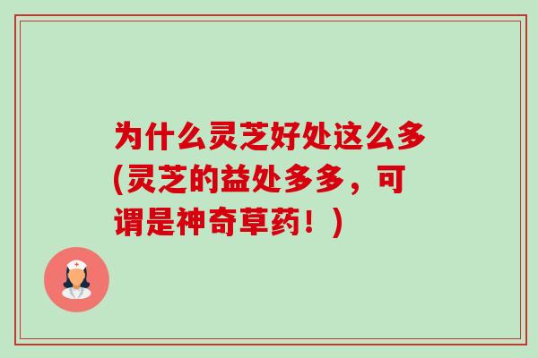 为什么灵芝好处这么多(灵芝的益处多多,可谓是神奇草药!) 为什么灵芝好处这么多(灵芝的益处多多,可谓是神奇草药!)