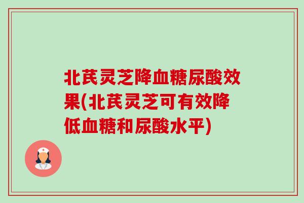 北芪灵芝降尿酸效果(北芪灵芝可有效降低和尿酸水平)