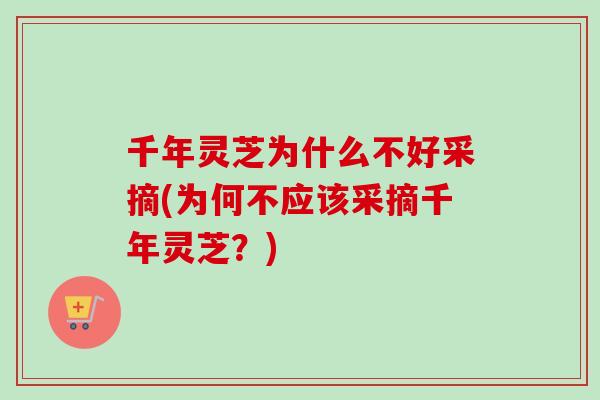 千年灵芝为什么不好采摘(为何不应该采摘千年灵芝?) 千年灵芝为什么不好采摘(为何不应该采摘千年灵芝?)