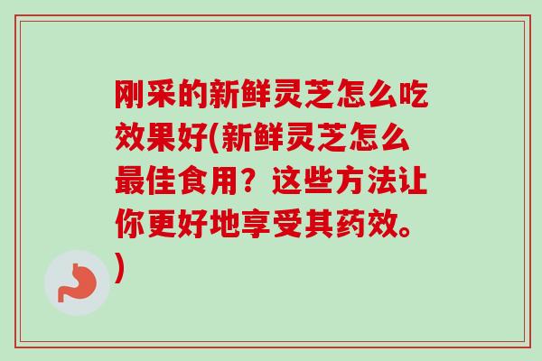 刚采的新鲜灵芝怎么吃效果好(新鲜灵芝怎么佳食用?这些方法让你更好地享受其。) 刚采的新鲜灵芝怎么吃效果好(新鲜灵芝怎么佳食用?这些方法让你更好地享受其。)