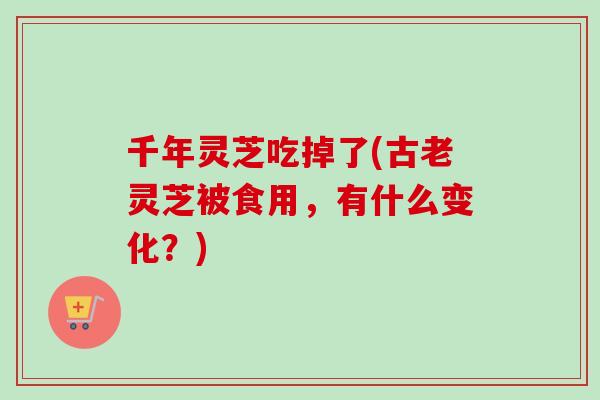 千年灵芝吃掉了(古老灵芝被食用，有什么变化？)