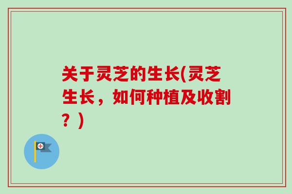 关于灵芝的生长(灵芝生长,如何种植及收割?) 关于灵芝的生长(灵芝生长,如何种植及收割?)