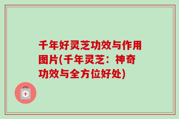 千年好灵芝功效与作用图片(千年灵芝：神奇功效与全方位好处)