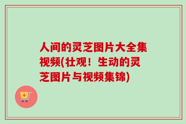 人间的灵芝图片大全集视频(壮观!生动的灵芝图片与视频集锦) 人间的灵芝图片大全集视频(壮观!生动的灵芝图片与视频集锦)