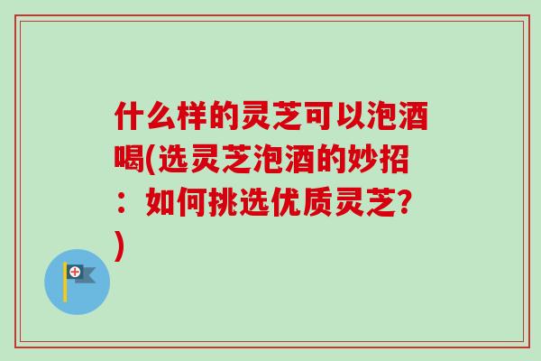 什么样的灵芝可以泡酒喝(选灵芝泡酒的妙招：如何挑选优质灵芝？)