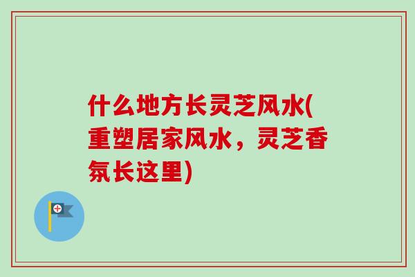 什么地方长灵芝风水(重塑居家风水,灵芝香氛长这里) 什么地方长灵芝风水(重塑居家风水,灵芝香氛长这里)