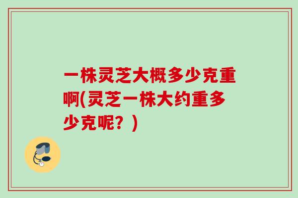 一株灵芝大概多少克重啊(灵芝一株大约重多少克呢?) 一株灵芝大概多少克重啊(灵芝一株大约重多少克呢?)