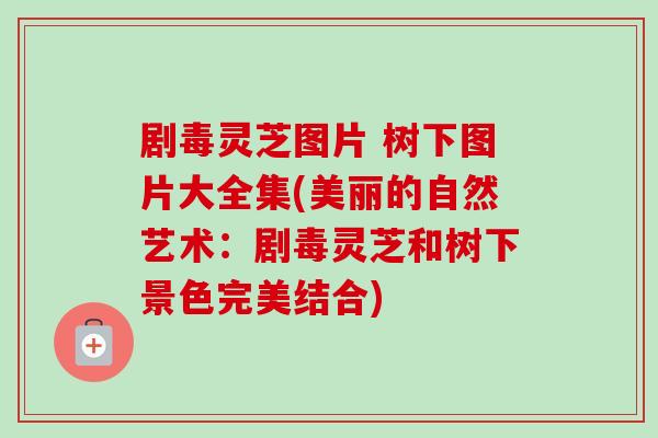 剧毒灵芝图片 树下图片大全集(美丽的自然艺术:剧毒灵芝和树下景色完美结合) 剧毒灵芝图片 树下图片大全集(美丽的自然艺术:剧毒灵芝和树下景色完美结合)