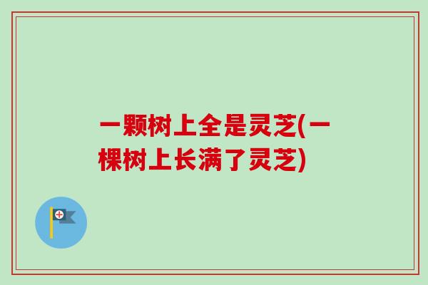 一颗树上全是灵芝(一棵树上长满了灵芝)