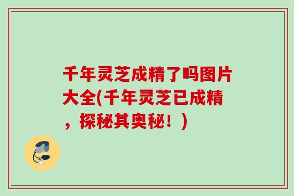 千年灵芝成精了吗图片大全(千年灵芝已成精，探秘其奥秘！)