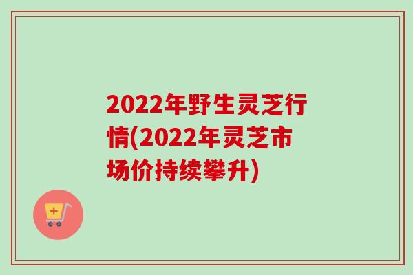 2022年野生灵芝行情(2022年灵芝市场价持续攀升) 2022年野生灵芝行情(2022年灵芝市场价持续攀升)