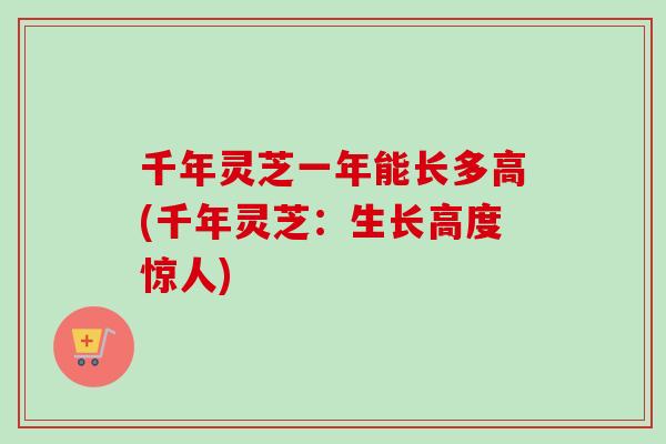 千年灵芝一年能长多高(千年灵芝：生长高度惊人)
