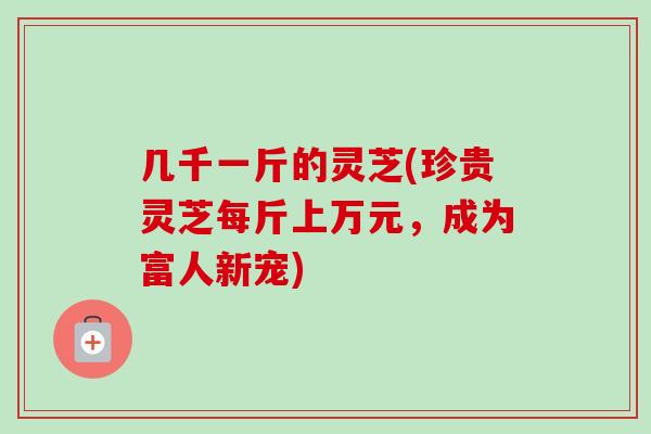 几千一斤的灵芝(珍贵灵芝每斤上万元，成为富人新宠)
