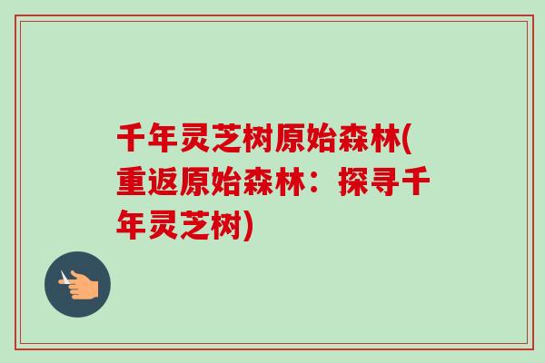 千年灵芝树原始森林(重返原始森林：探寻千年灵芝树)