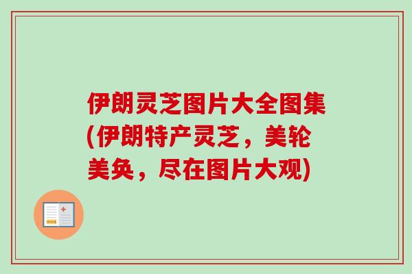 伊朗灵芝图片大全图集(伊朗特产灵芝,美轮美奂,尽在图片大观) 伊朗灵芝图片大全图集(伊朗特产灵芝,美轮美奂,尽在图片大观)