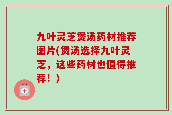 九叶灵芝煲汤药材推荐图片(煲汤选择九叶灵芝,这些药材也值得推荐!) 九叶灵芝煲汤药材推荐图片(煲汤选择九叶灵芝,这些药材也值得推荐!)