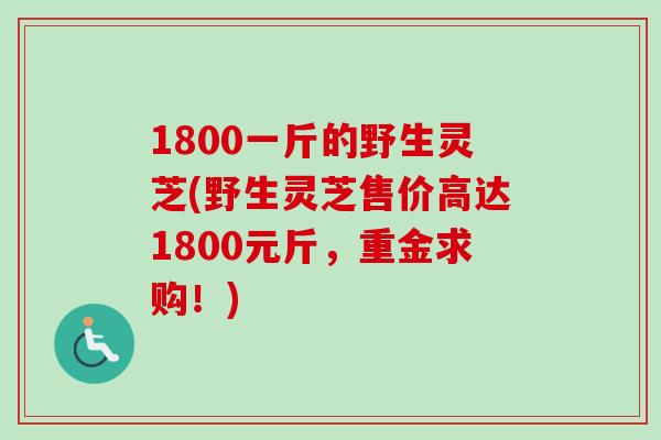 1800一斤的野生灵芝(野生灵芝售价高达1800元斤，重金求购！)