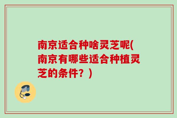 南京适合种啥灵芝呢(南京有哪些适合种植灵芝的条件?) 南京适合种啥灵芝呢(南京有哪些适合种植灵芝的条件?)