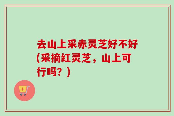 去山上采赤灵芝好不好(采摘红灵芝，山上可行吗？)
