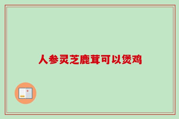 人参灵芝鹿茸可以煲鸡 人参灵芝鹿茸可以煲鸡