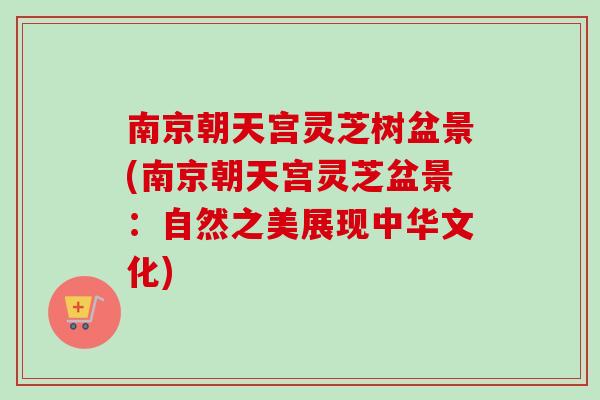 南京朝天宫灵芝树盆景(南京朝天宫灵芝盆景：自然之美展现中华文化)