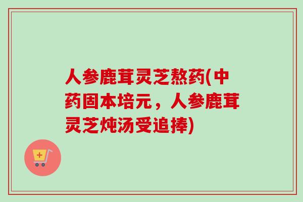 人参鹿茸灵芝熬药(固本培元，人参鹿茸灵芝炖汤受追捧)