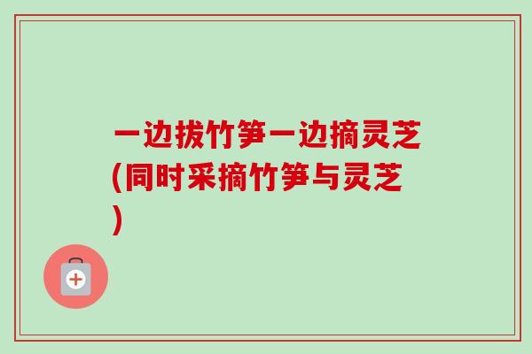 一边拔竹笋一边摘灵芝(同时采摘竹笋与灵芝)