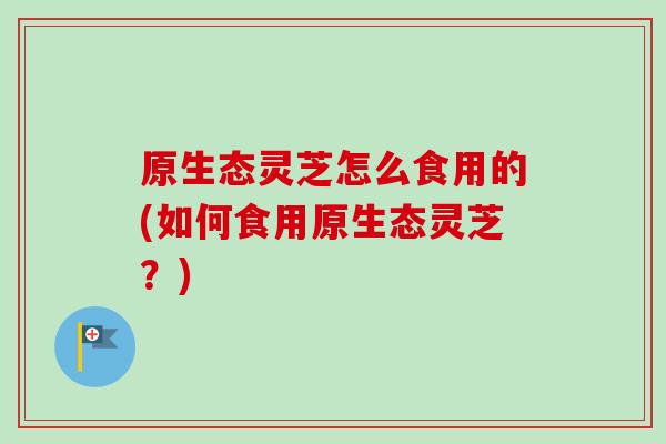 原生态灵芝怎么食用的(如何食用原生态灵芝?) 原生态灵芝怎么食用的(如何食用原生态灵芝?)