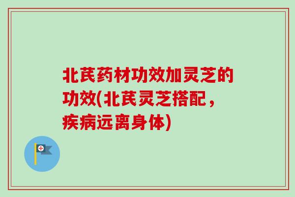 北芪药材功效加灵芝的功效(北芪灵芝搭配,远离身体) 北芪药材功效加灵芝的功效(北芪灵芝搭配,远离身体)