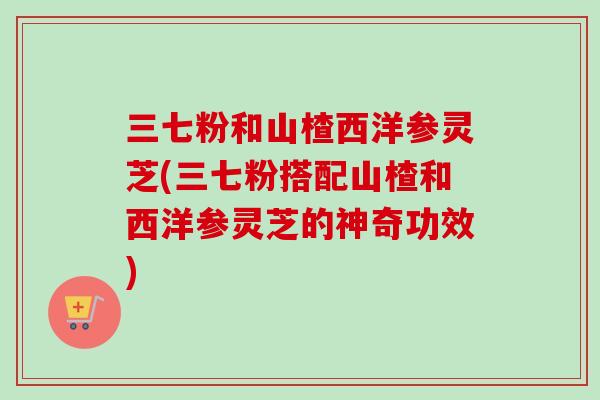 三七粉和山楂西洋参灵芝(三七粉搭配山楂和西洋参灵芝的神奇功效)