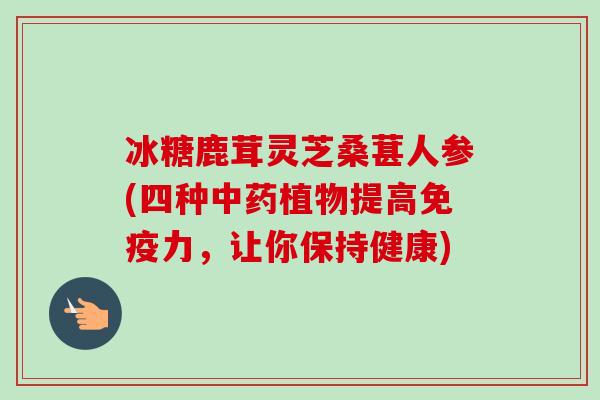 冰糖鹿茸灵芝桑葚人参(四种植物提高免疫力,让你保持健康) 冰糖鹿茸灵芝桑葚人参(四种植物提高免疫力,让你保持健康)