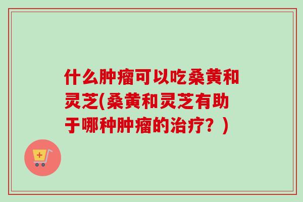 什么可以吃桑黄和灵芝(桑黄和灵芝有助于哪种的?) 什么可以吃桑黄和灵芝(桑黄和灵芝有助于哪种的?)