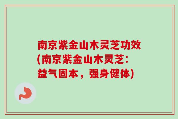 南京紫金山木灵芝功效(南京紫金山木灵芝：益气固本，强身健体)