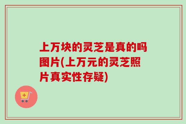 上万块的灵芝是真的吗图片(上万元的灵芝照片真实性存疑) 上万块的灵芝是真的吗图片(上万元的灵芝照片真实性存疑)