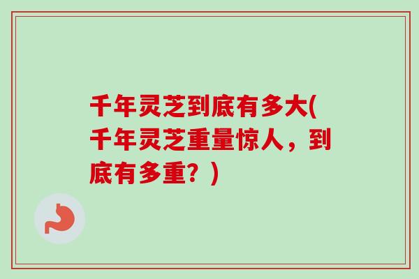 千年灵芝到底有多大(千年灵芝重量惊人,到底有多重?) 千年灵芝到底有多大(千年灵芝重量惊人,到底有多重?)