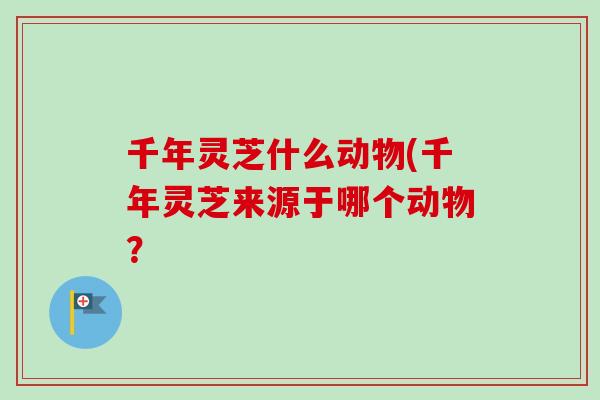 千年灵芝什么动物(千年灵芝来源于哪个动物? 千年灵芝什么动物(千年灵芝来源于哪个动物?