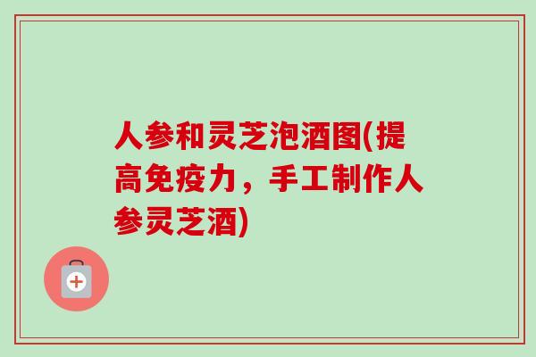 人参和灵芝泡酒图(提高免疫力，手工制作人参灵芝酒)