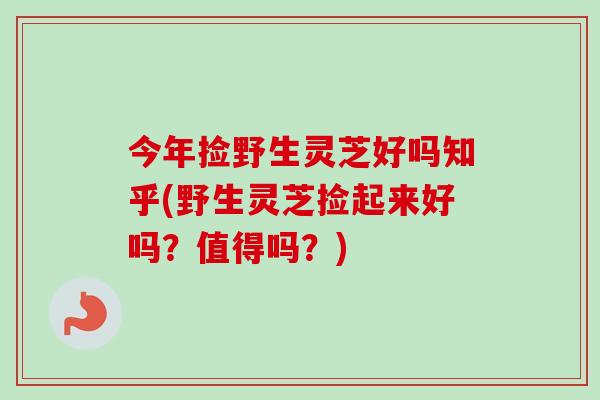 今年捡野生灵芝好吗知乎(野生灵芝捡起来好吗？值得吗？)