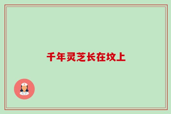 千年灵芝长在坟上 千年灵芝长在坟上