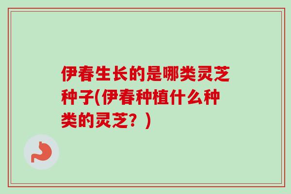 伊春生长的是哪类灵芝种子(伊春种植什么种类的灵芝？)