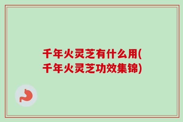 千年火灵芝有什么用(千年火灵芝功效集锦)