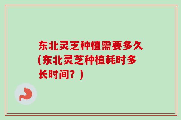 东北灵芝种植需要多久(东北灵芝种植耗时多长时间？)