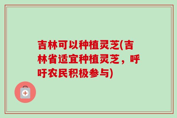 吉林可以种植灵芝(吉林省适宜种植灵芝,呼吁农民积极参与) 吉林可以种植灵芝(吉林省适宜种植灵芝,呼吁农民积极参与)
