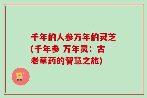 千年的人参万年的灵芝(千年参 万年灵：古老草药的智慧之旅)