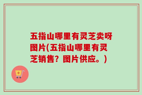 五指山哪里有灵芝卖呀图片(五指山哪里有灵芝销售?图片供应。) 五指山哪里有灵芝卖呀图片(五指山哪里有灵芝销售?图片供应。)