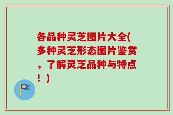 各品种灵芝图片大全(多种灵芝形态图片鉴赏，了解灵芝品种与特点！)