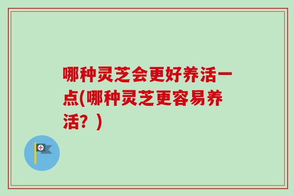 哪种灵芝会更好养活一点(哪种灵芝更容易养活？)
